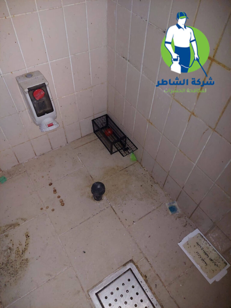 التخلص من الفئران