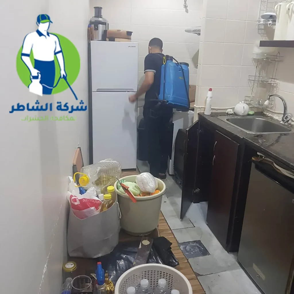 رش حشرات