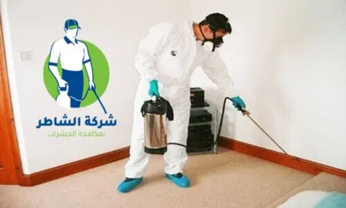 رش حشرات