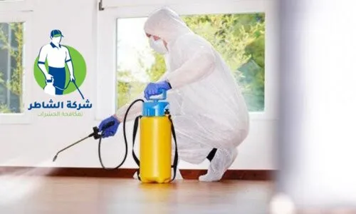 شركة رش مبيدات
