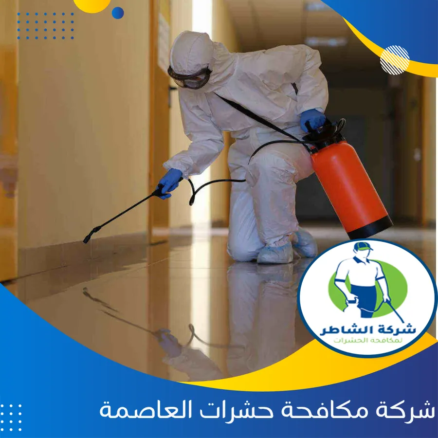 شركة مكافحة حشرات العاصمة