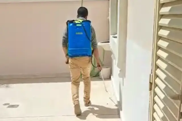 شركة متخصصة في مكافحة الحشرات​