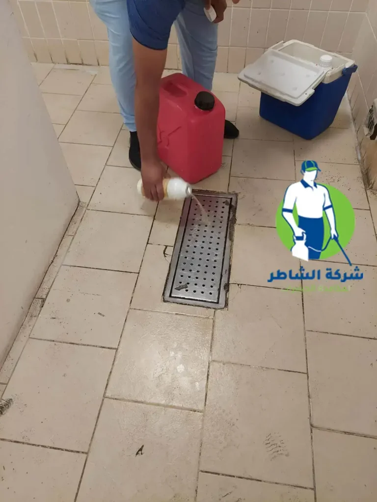 رش حشرات