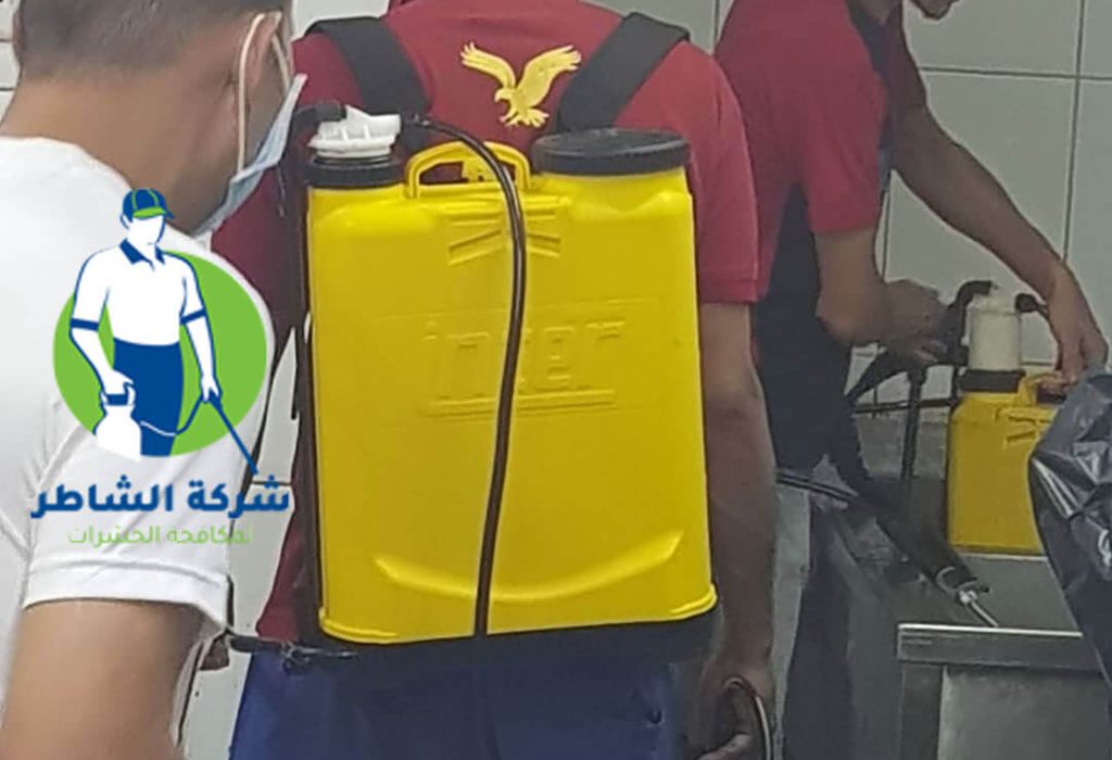 مكافحة الحشرات والقوارض