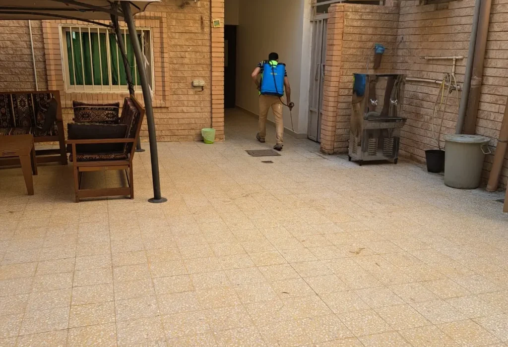 قتل الحشرات